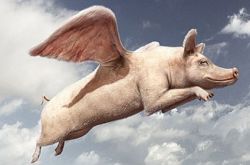 �ƶ�������ֻ�ǹ��ߣ�����ϵ���ֻ�Ǵ�˵